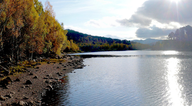 Glen Affric in Autumn